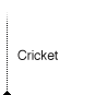 cricket