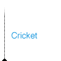 cricket